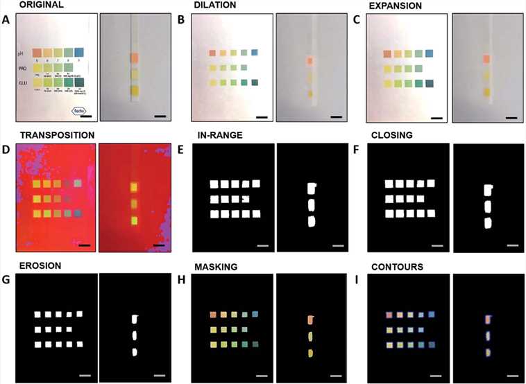 Fig.1 Colorimetric detection system. (Balbach, et al., 2021)