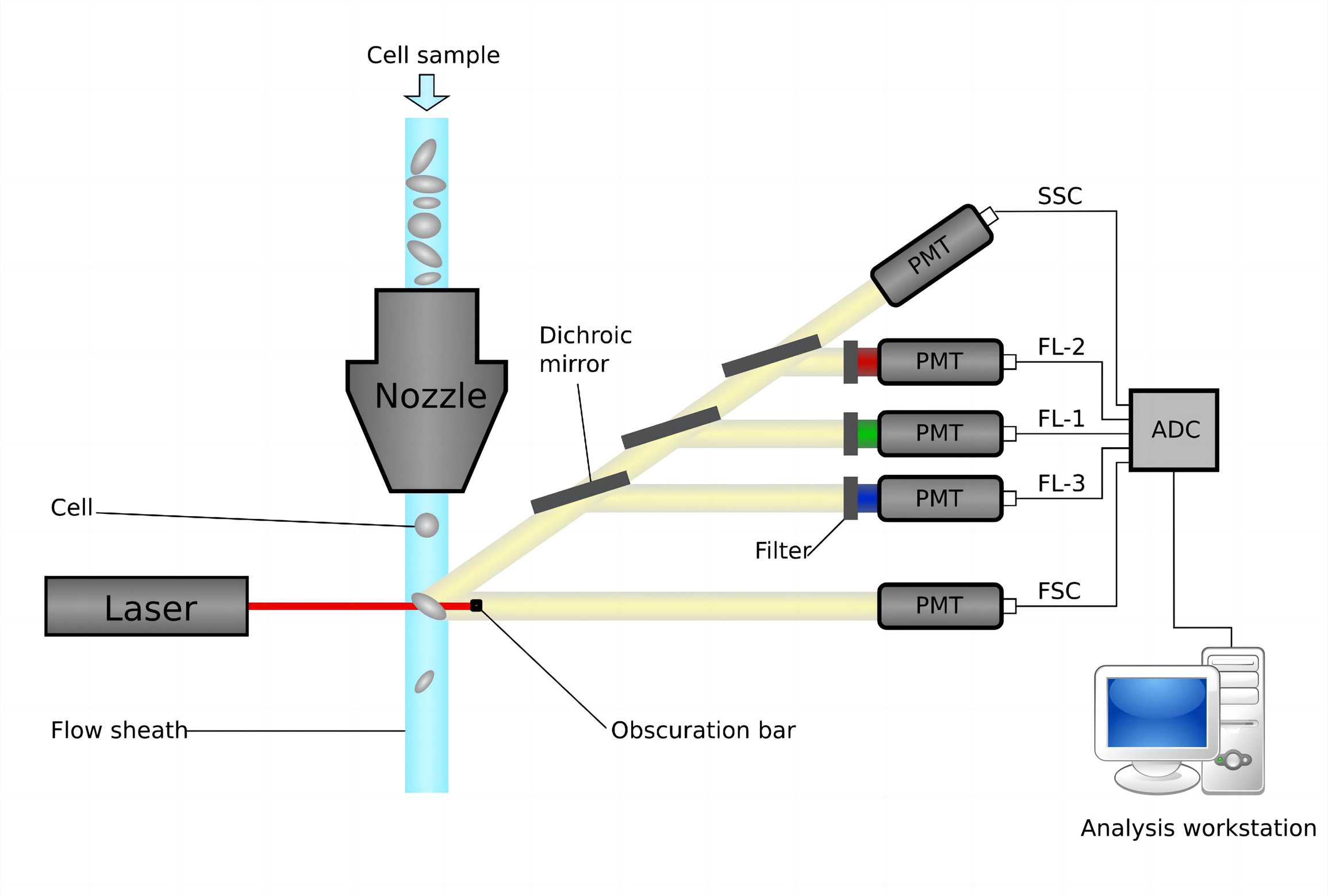 Fig.1 Cytometer. (From Wikipedia: By Kierano - Own work, https://commons.wikimedia.org/wiki/File:Cytometer.svg)