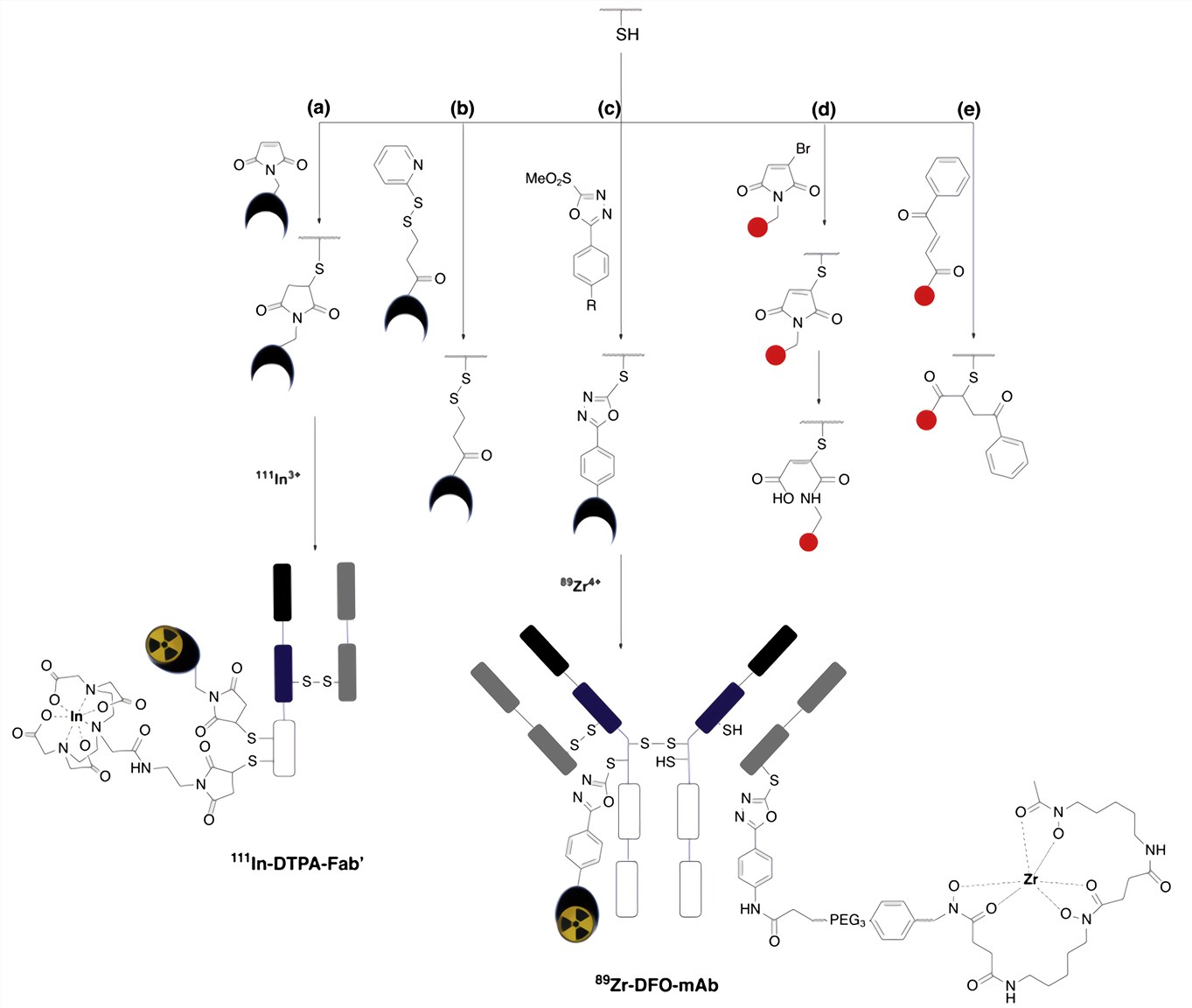 Different thiol-reactive compounds.