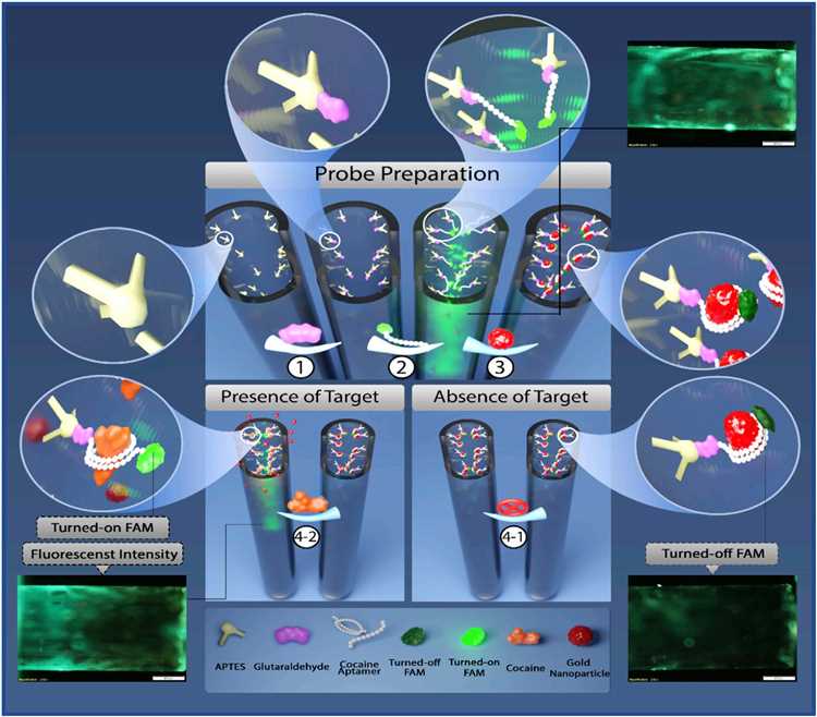 Fig.3 Aptasensor for cocaine detection. (Zamanian, et al., 2022)