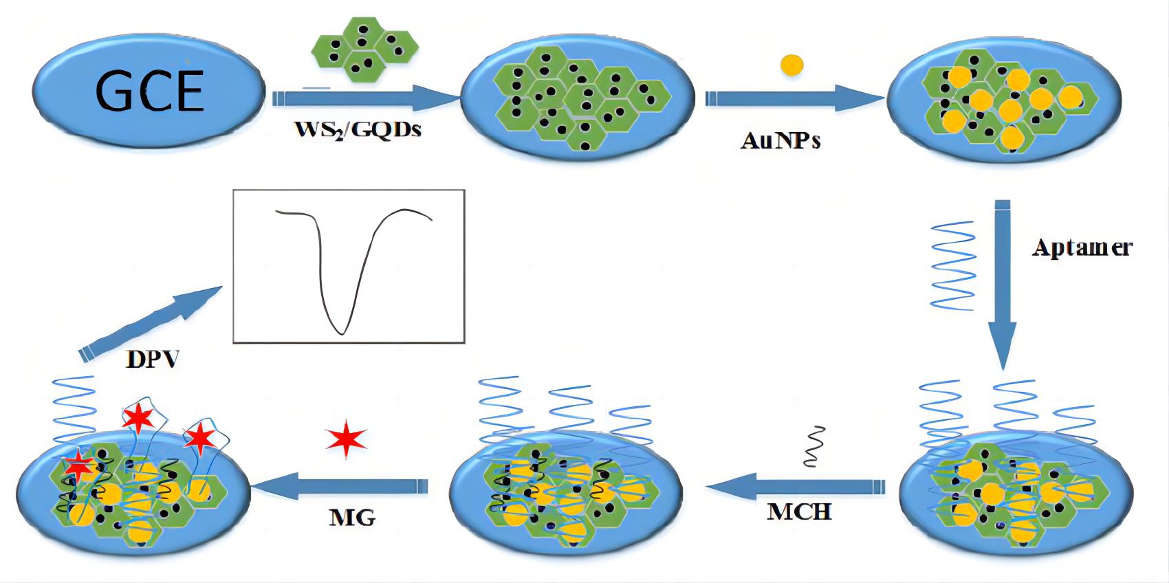 Fig.1 Label-free electrochemical aptasensor. (Gaudin, 2021)