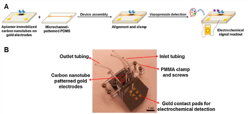 Aptamer-based amperometric microfluidic biosensor. 