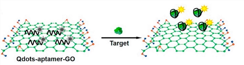 Sensing mechanism of the QDs-aptamer-GO quenching system.