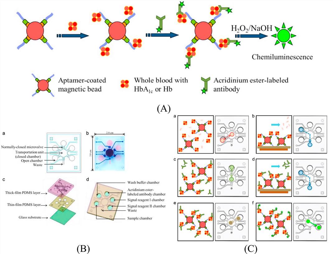 Working principle and structure of CL aptamer-based microfluidic biosensor.