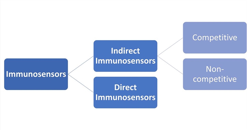 Electrochemical Immunosensor