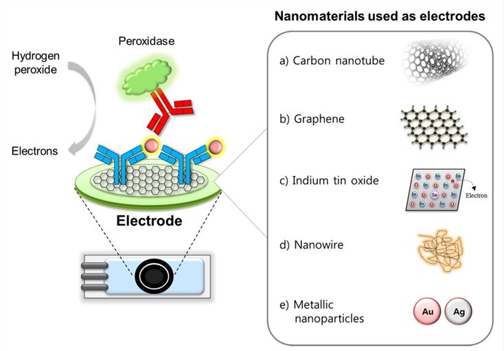 Nanomaterials enhance the analytical performance of electrochemical immunosensing.