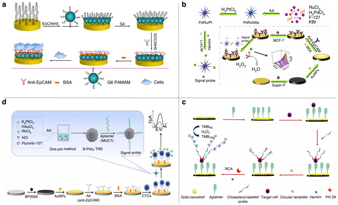Fig.1 Electrochemical sensor. (Jiang, et al., 2023)