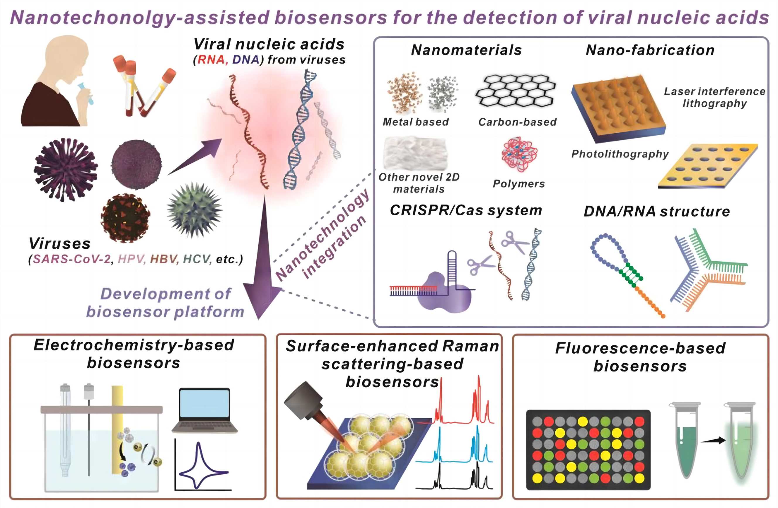 Fig.2 Biosensors for viral nucleic acid detection. (Choi & Yoon, 2023)