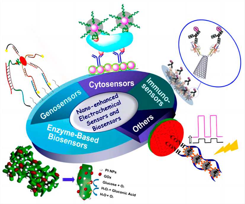Fig.2 Multiple strategies for the electrochemical detection of H2O2. (Ahmad, et al., 2022)