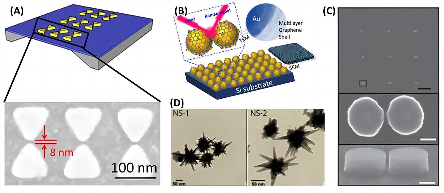 Fig.2 Examples of SERS substrates. (Dell’Olio, 2021)