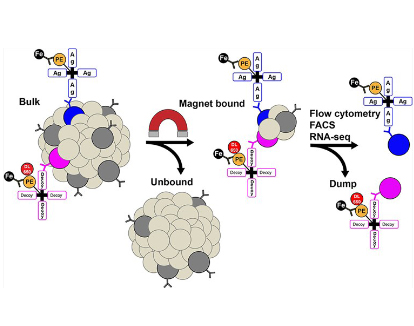 Fig.1 NIA application. (Boonyaratanakornkit & Taylor, 2019)