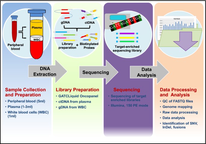 Fig.10 Ct-DNA guided therapy in stage II colon cancer. (Alunni-Fabbroni, et al., 2019)