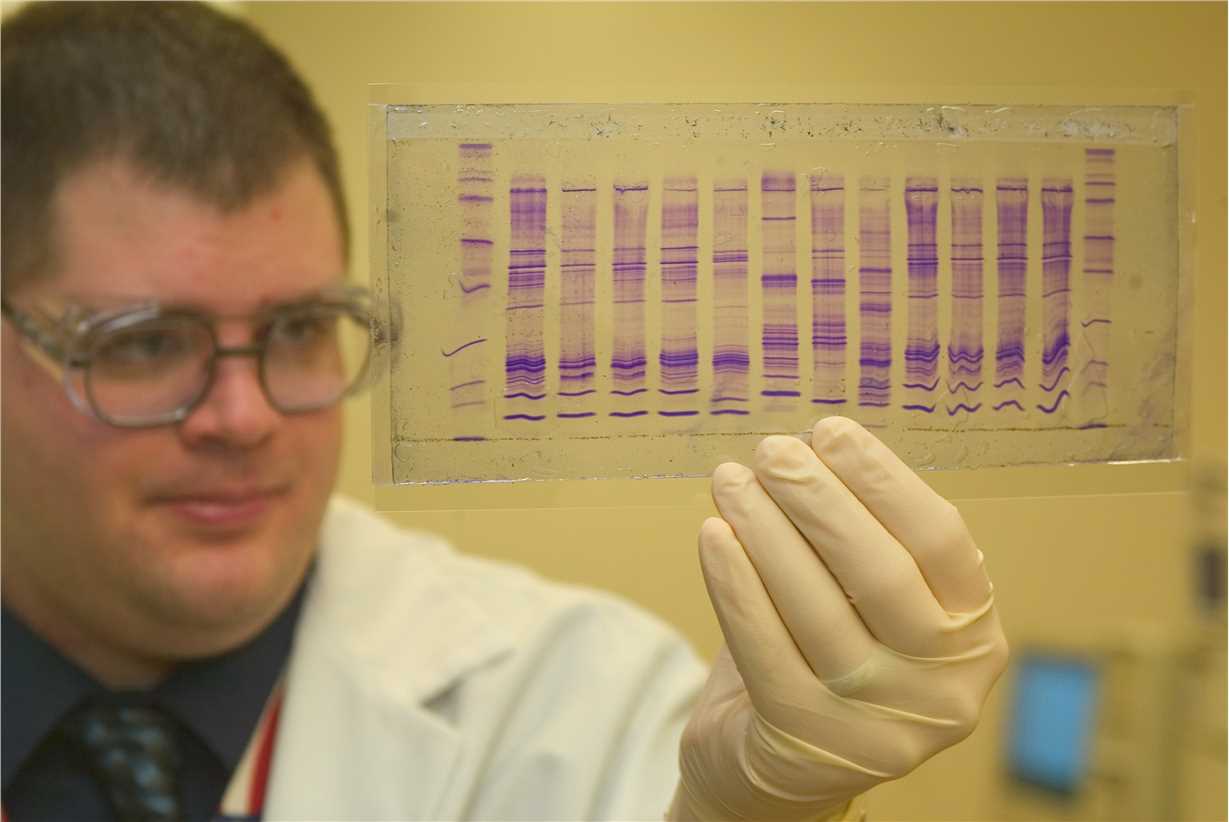 Fig.4 DNA profile. (From Wikipedia: By James Tourtellotte, photo editor of CBP Today, https://commons.wikimedia.org/wiki/File:CBP_chemist_reads_a_DNA_profile.jpg)