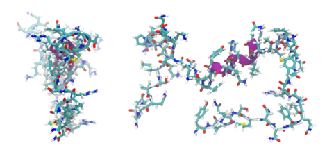 3D structure of ADM.