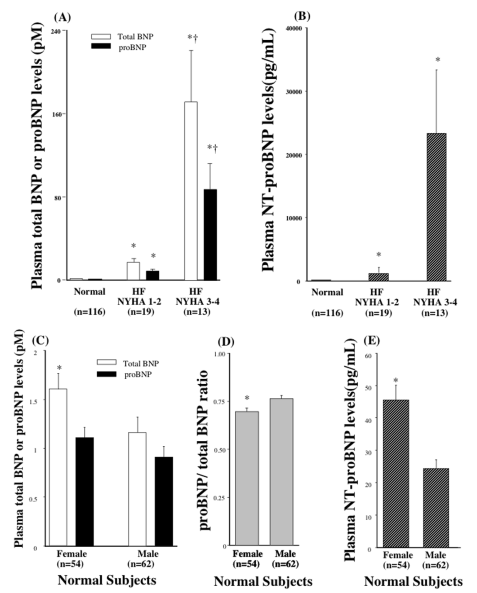 IVD Antibodies for NT-proBNP Marker