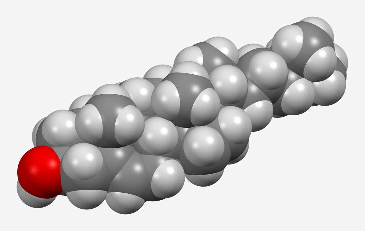 Fig.1 Cholesterol. (From Wiki: By Ben Mills - Own work, https://commons.wikimedia.org/wiki/File:Cholesterol-from-xtal-3D-sf.png)
