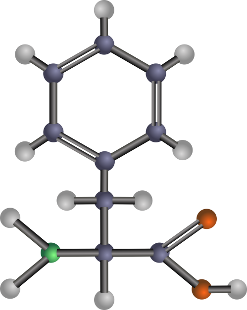 Fig.1 The model structure of hydroxylation(Creative Biolabs Authorized)