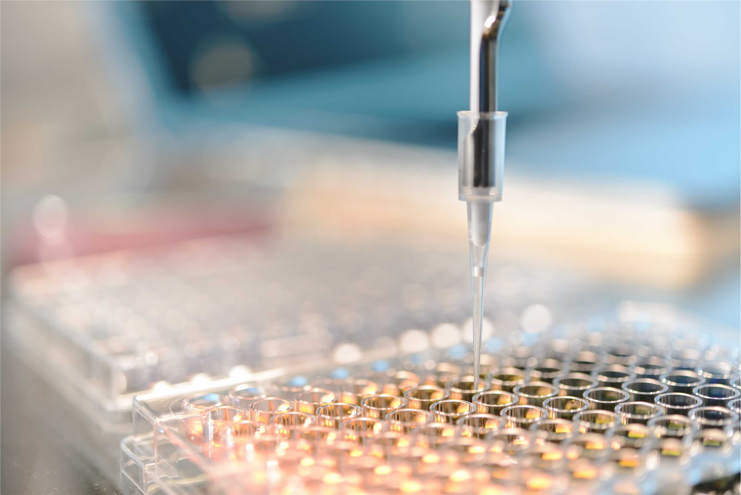 PCR-based kits. (Creative Biolabs Authorized)