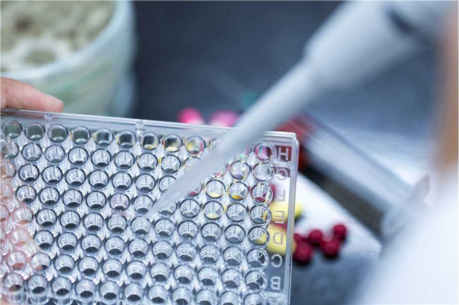 Fig. 1. Antibody array analysis. (Creative Biolabs Authorized)