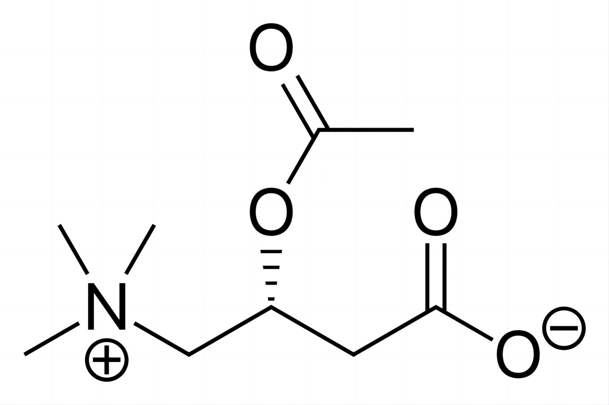Fig.1 Acetylcarnitine. (From Wiki: By Ed (Edgar181) - Own work, https://commons.wikimedia.org/wiki/File:Acetylcarnitine.svg)