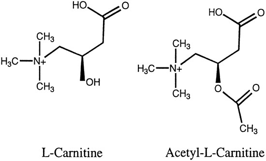 IVD Antibodies for Acetylcarnitine Marker