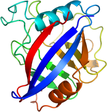 IVD Antibodies for Cyclophilin A (CyPA) Marker