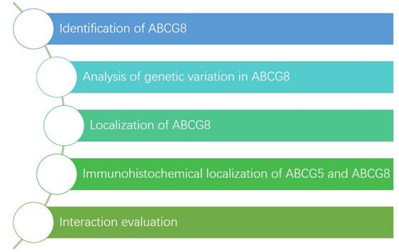 Fig.3 Services at Creative Biolabs. (Creative Biolabs Original)