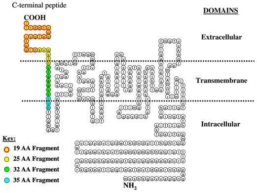 ADIPOR1 structure