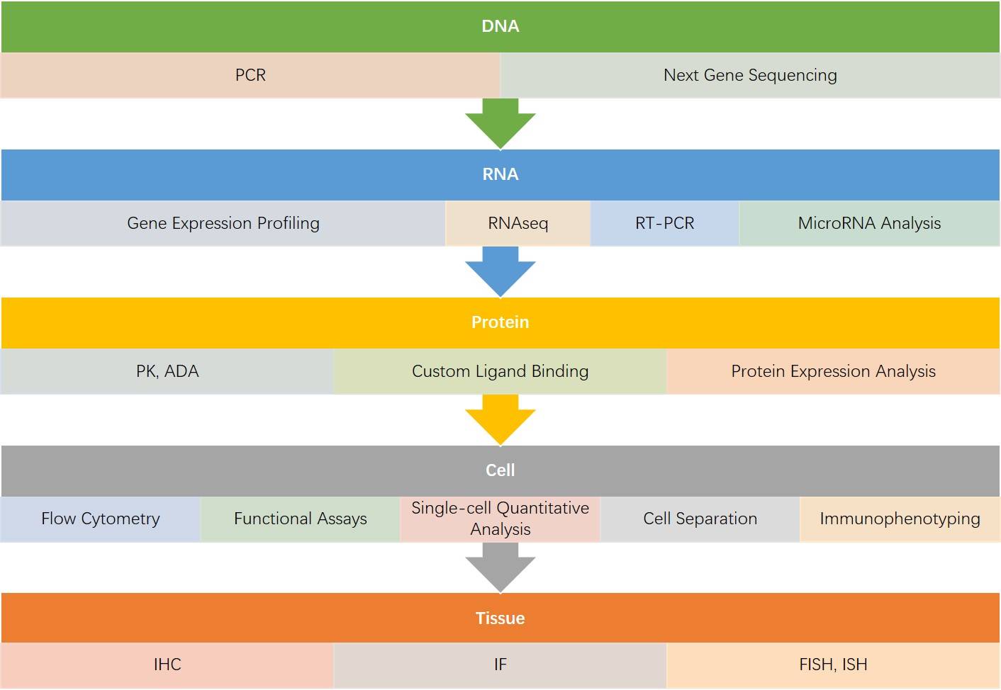  Biomarker analysis service at Creative Biolabs
