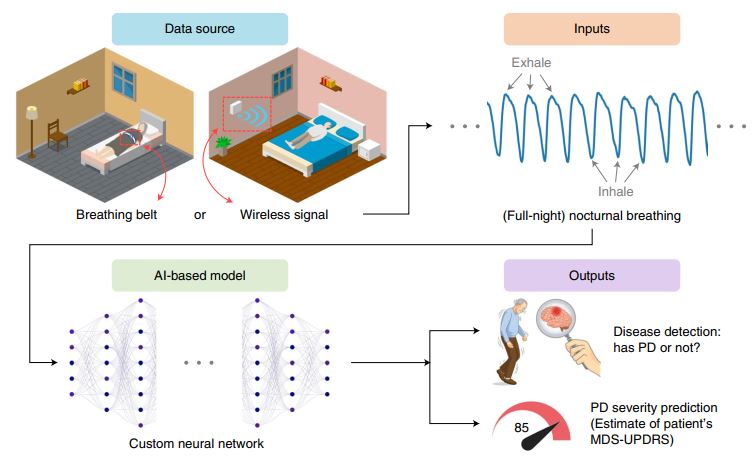 Fig.14 AI-based strategy achieves non-invasive PD detection. (Yang, et al., 2022)