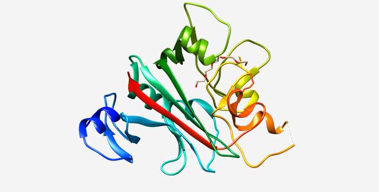 Fig.1 ANGPTL4. (From Wikipedia: By Goultard59 - Own work, https://commons.wikimedia.org/wiki/File:ANGPTL4.png)