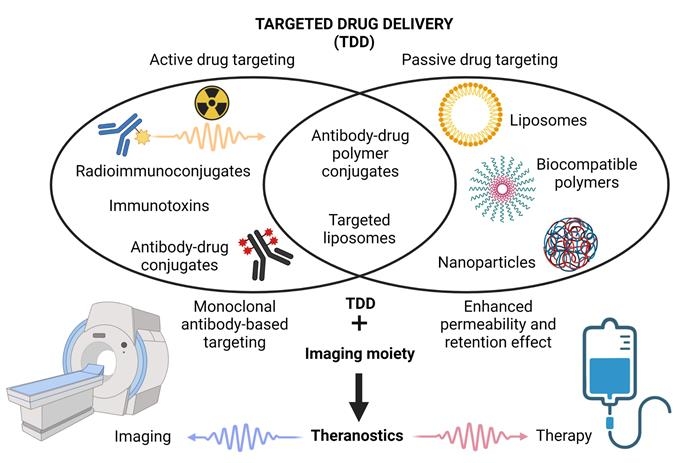 Target drug delivery.