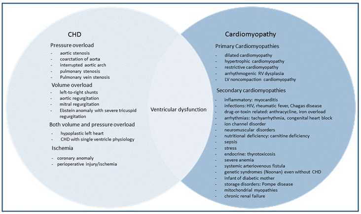Fig.2 Pediatric heart failure. (Das, 2018)