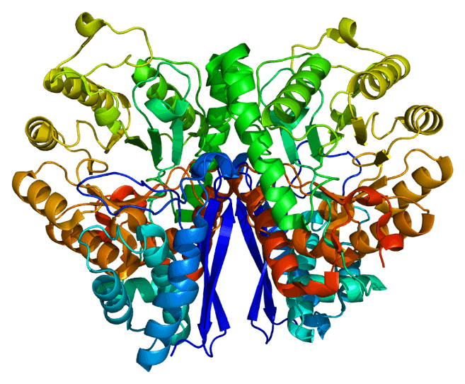 ESE protein structure.