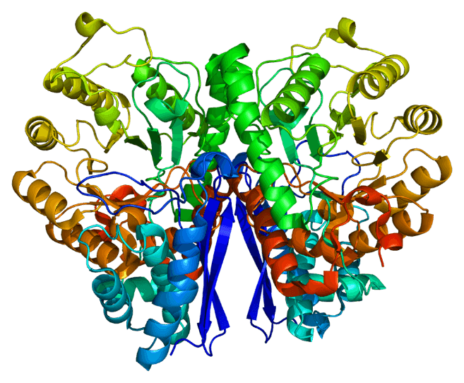Structure of the ESE protein