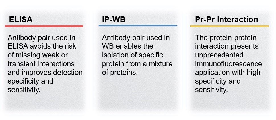 Applications of antibody pairs.