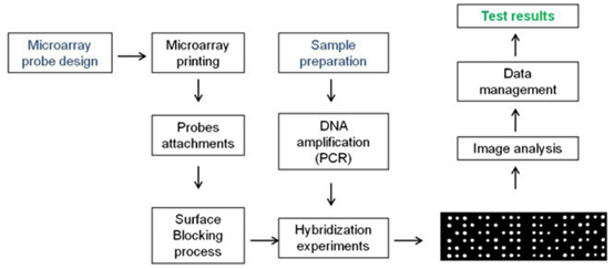 Overall experimental steps in microarray technology.