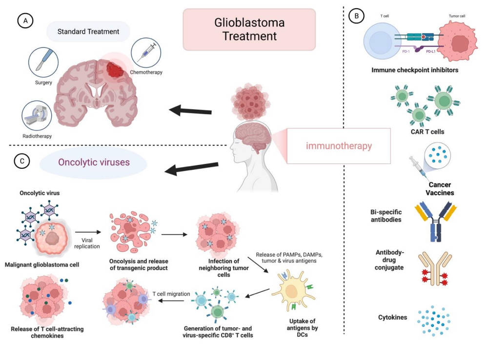 Overview of GB treatment types.