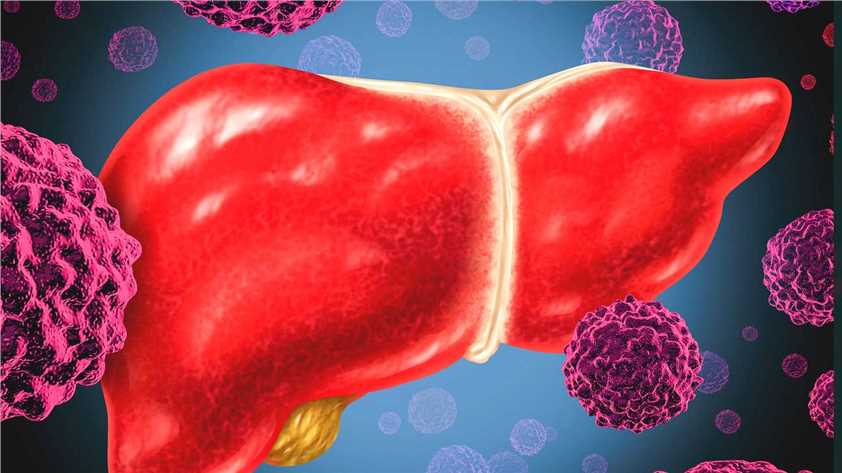 Biomarkers and Antibodies Development for Liver Cancer