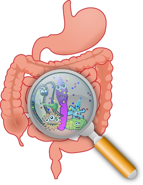 Biomarkers and Antibodies Development for Gastrointestinal Infections