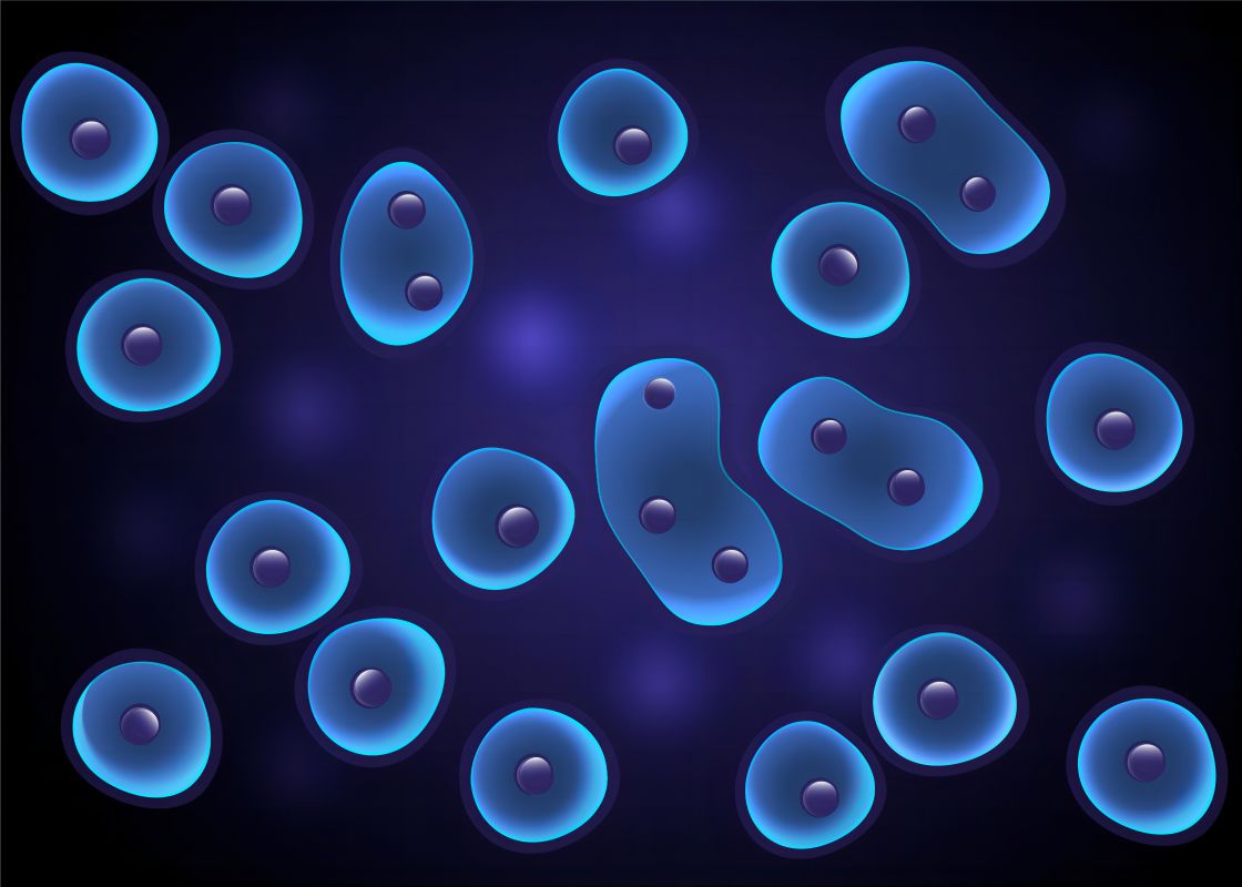 Fig.2 Protein. (Creative Biolabs Authorized)