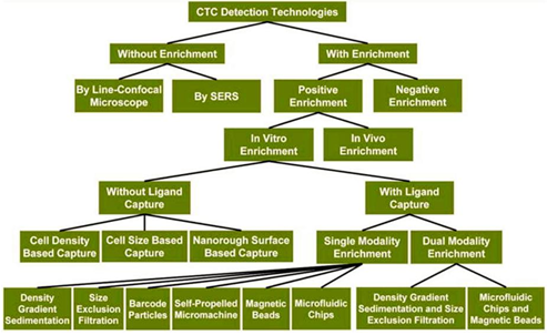 A technology tree showing the classification of current CTC detection technologies.