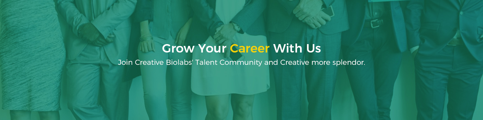 Grow Your Career With Us