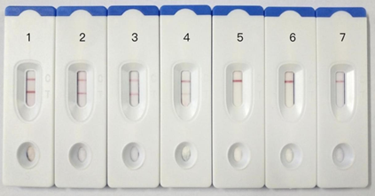 Sensitivity testing of immunochromatographic strip. 1: GPV, 1.2 mg/ml, 2: GPV, 120 μg/mL, 3: GPV, 12 μg/mL, 4: GPV, 1.2 μg/ml, 5: GPV, 120 ng/mL, 6: GPV, 12 ng/mL, 7: GPV, 1.2 ng/mL.