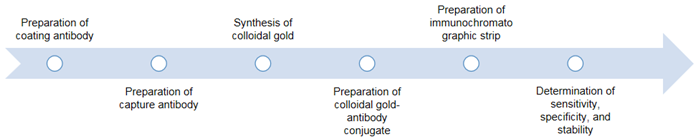 Fig.2 Workflow of colloidal gold-based immunochromatographic. (Creative Biolabs Original)