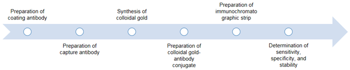 Workflow of development of colloidal gold-based immunochromatographic assay.