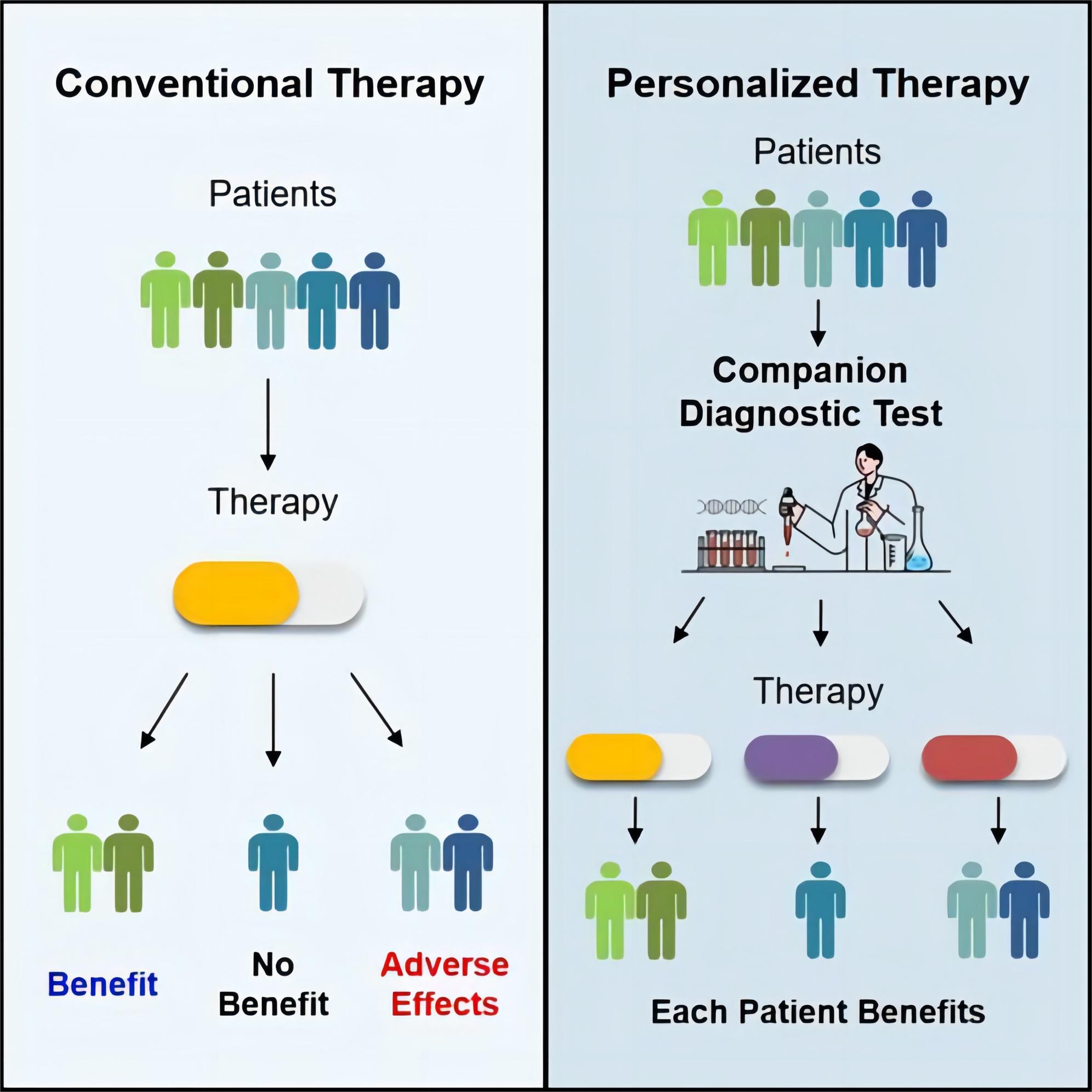 Fig.1 Clinical regulatory frameworks for CDx. (Kang, et al., 2023)