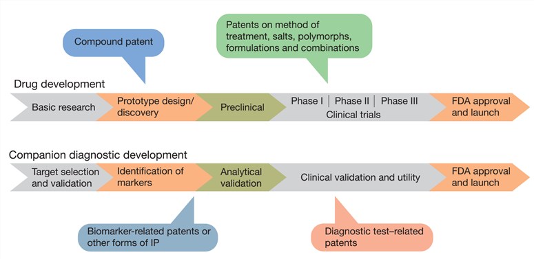 Drug and diagnostic co-development pathway and patent filings.