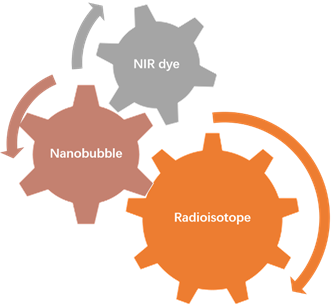 Various customized labeled nano-tracer types at Creative Biolabs. (Creative Biolabs Original)