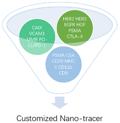 Customized Targeted Nano-tracer Development